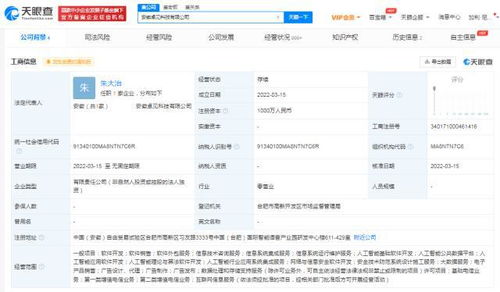 科大訊飛在安徽新設兩家科技公司 聚焦信息系統(tǒng)集成服務
